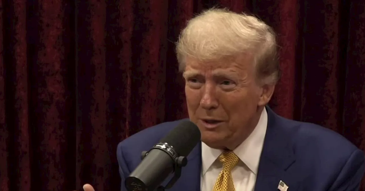 Joe Rogan to Trump: 'your weave is getting wide'