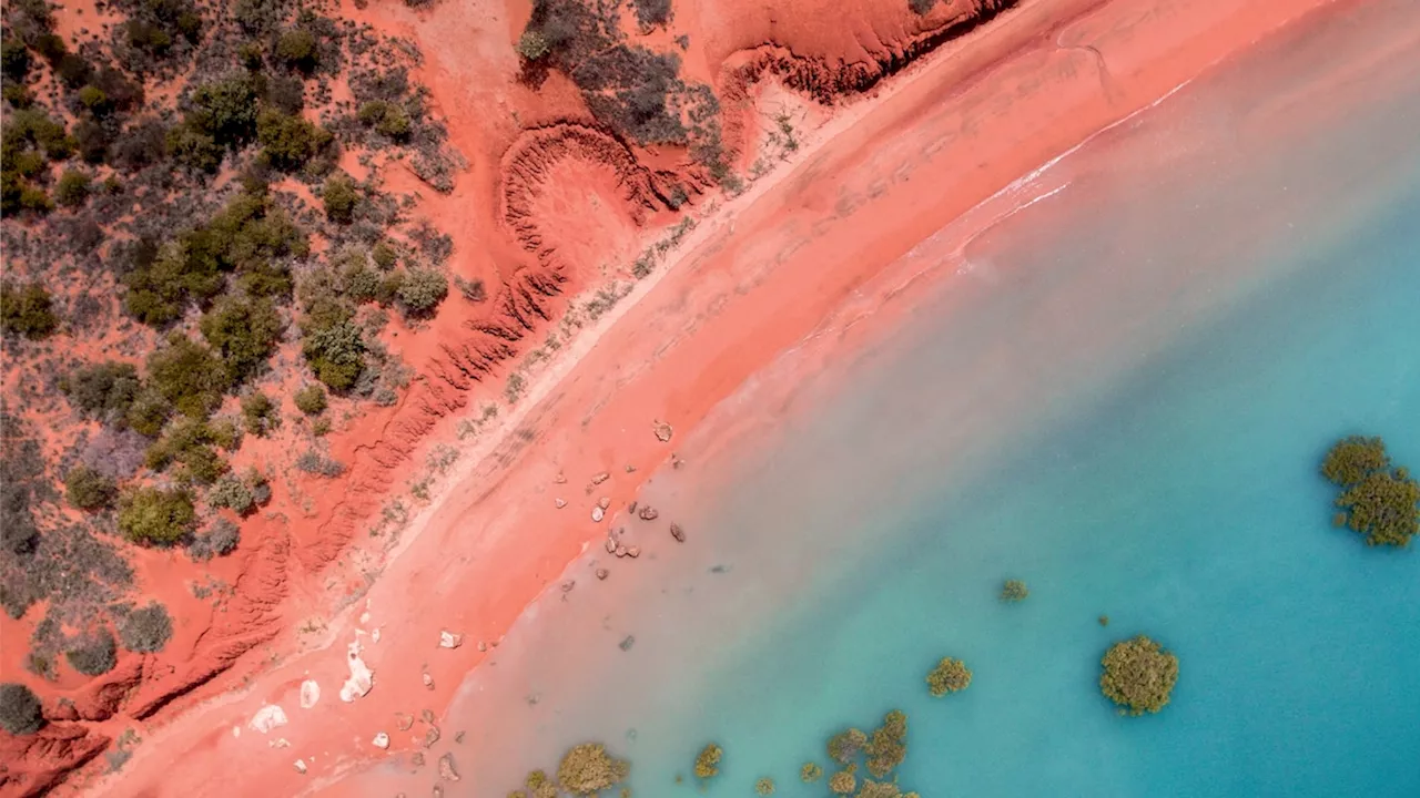 Take a mangrove foraging tour with Broome's Aboriginal custodians