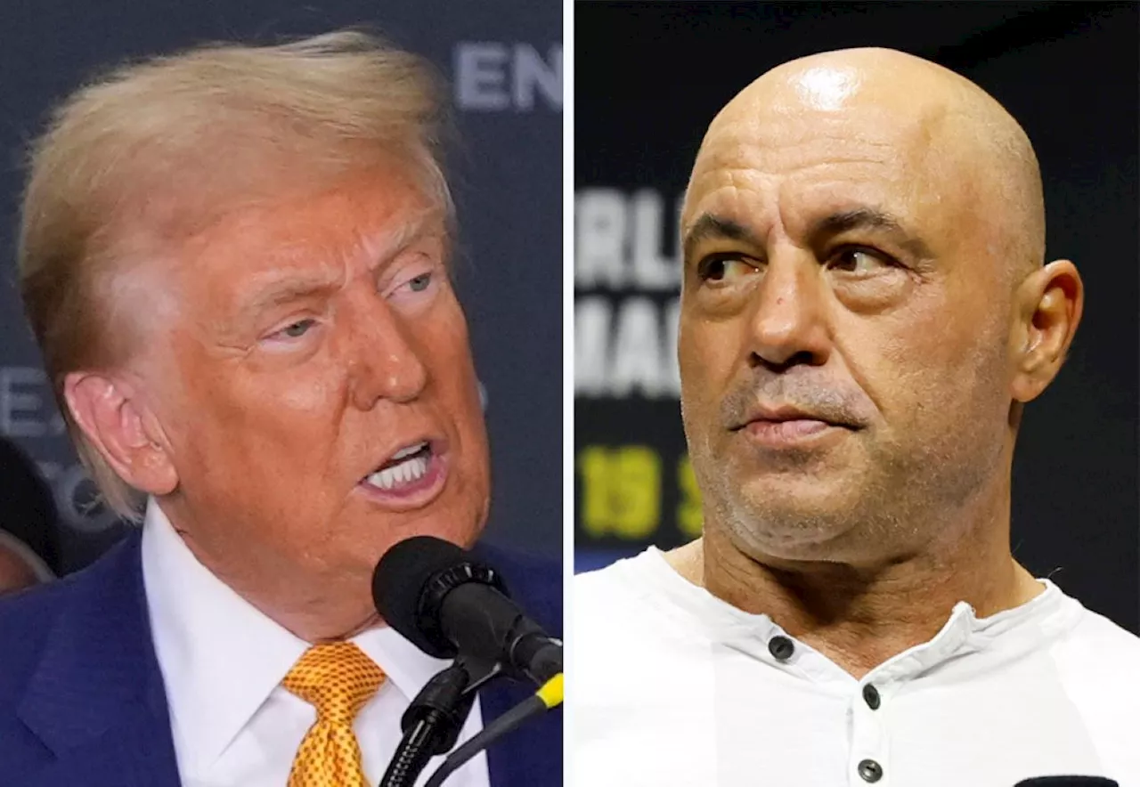 Joe Rogan's Donald Trump Episode Racks Up 26 Million Views in First 24 Hours