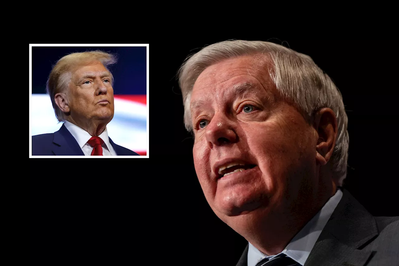 Lindsey Graham Urges Voters to 'Reject' Generals' Critical Views of Trump