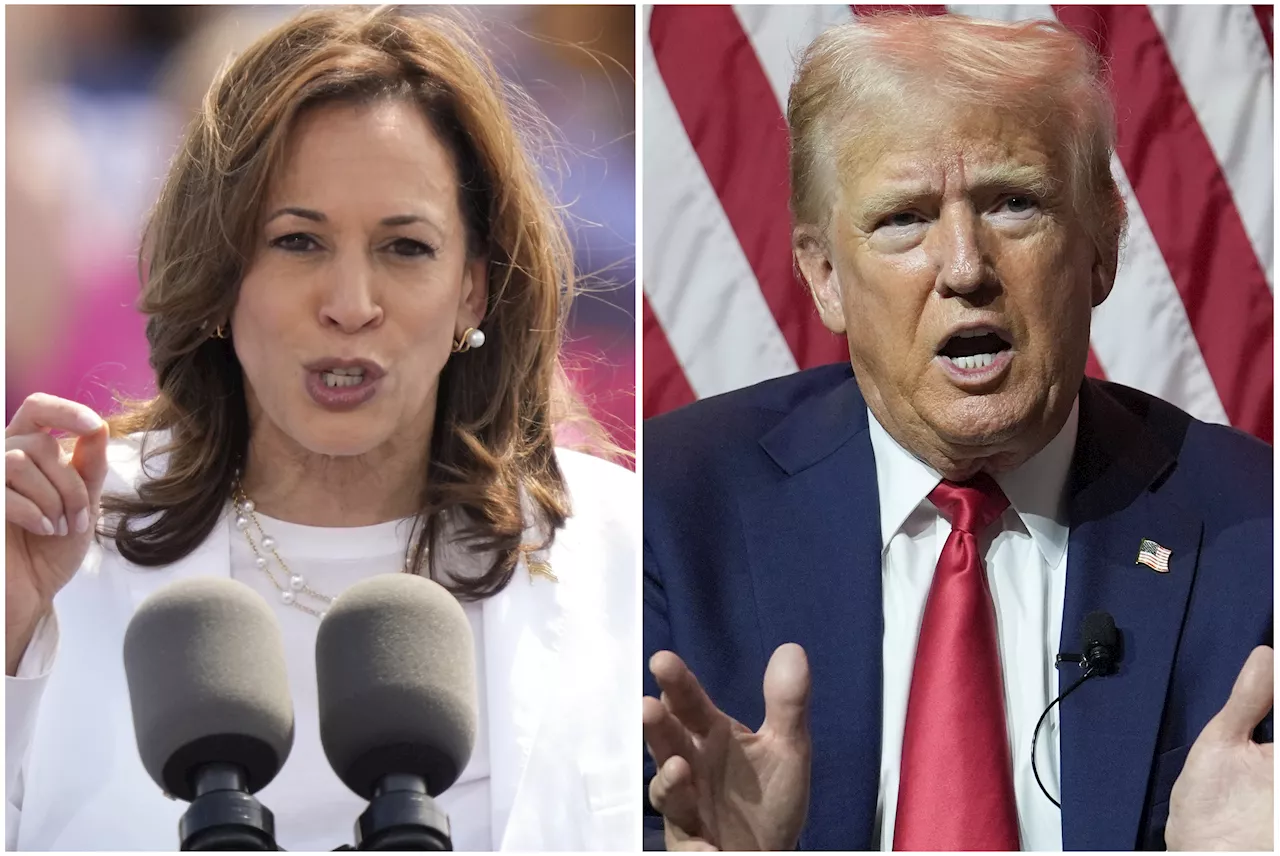 Where Donald Trump and Kamala Harris Will Campaign In Election's Final Week