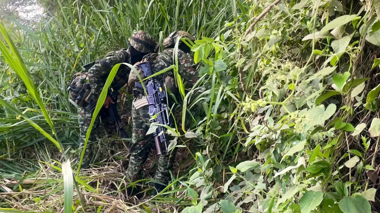 Destruyen explosivos con los que perpetrarían ataques terroristas en Cauca y Valle