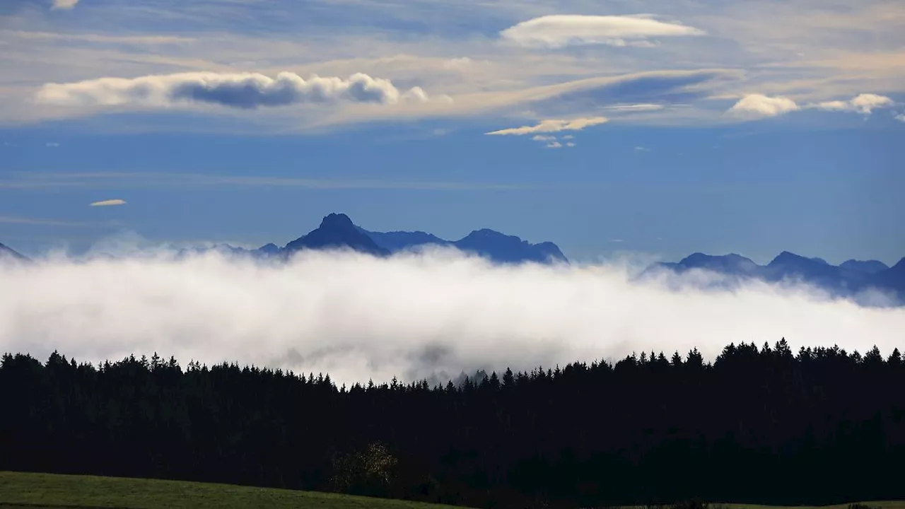 Bayern: Trüb und neblig - teils auch goldenes Herbstwetter in Bayern