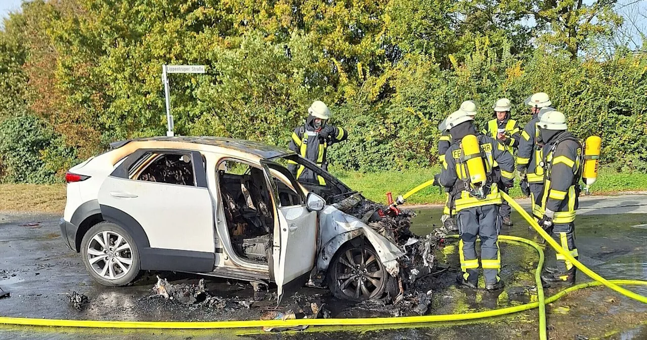 Komplizierte Bergung: Hybridauto geht nach Unfall im Kreis Gütersloh in Flammen auf