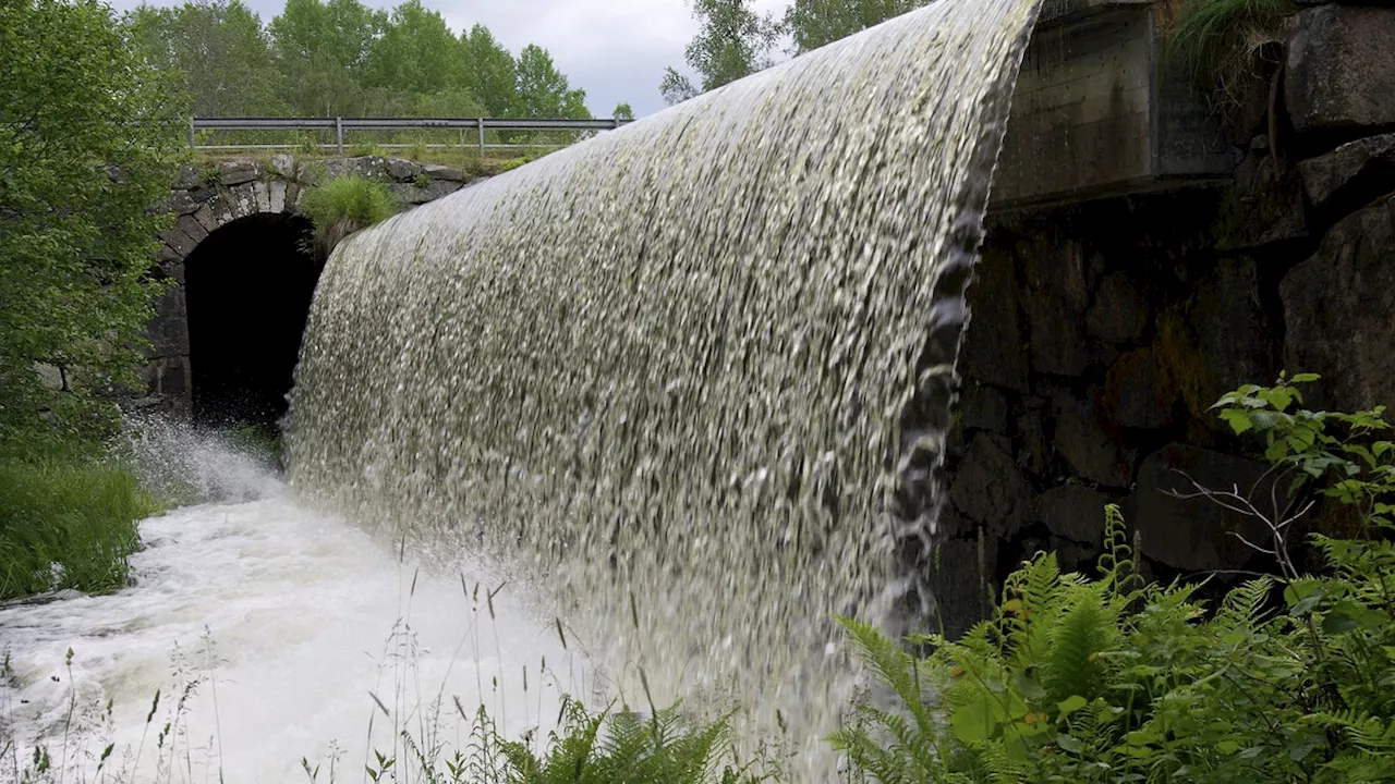 Hållbar vattenkraft har flera ben – miljön är ett av dem