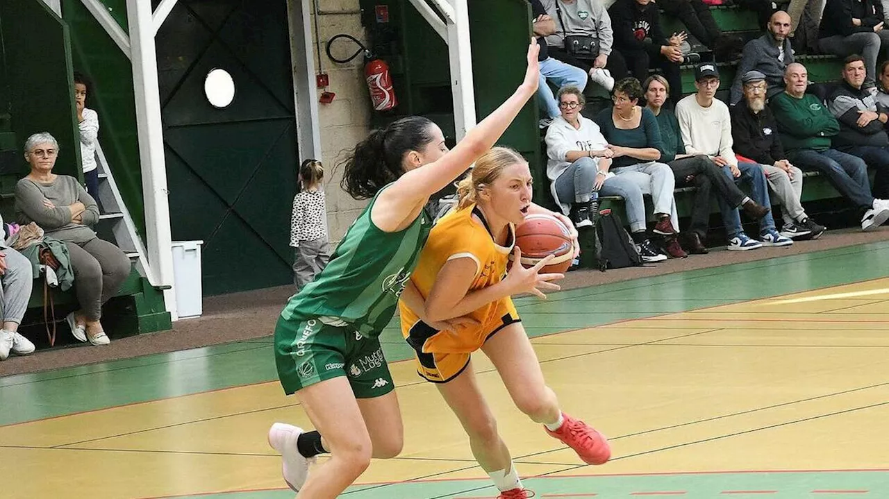 Basket. Nationale 3 féminine : Saint-Pavin « est retombé dans ses travers »