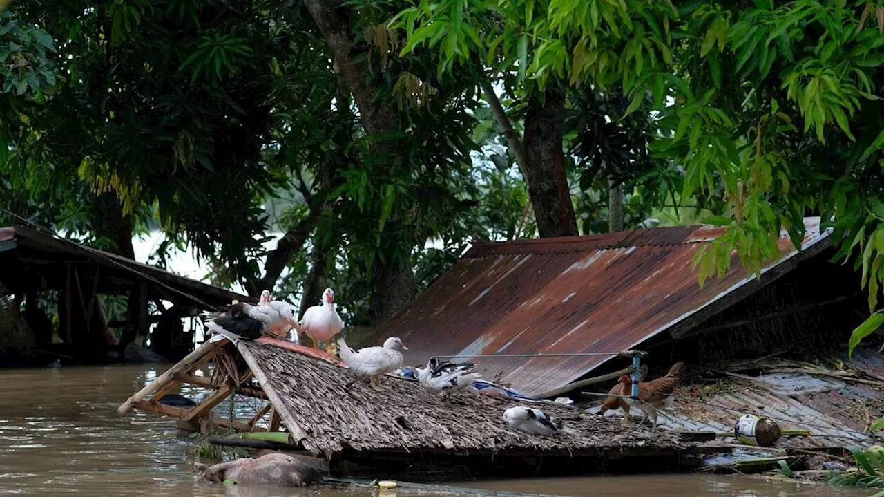 Tempête Trami aux Philippines : au moins 110 morts et 42 personnes toujours portées disparues