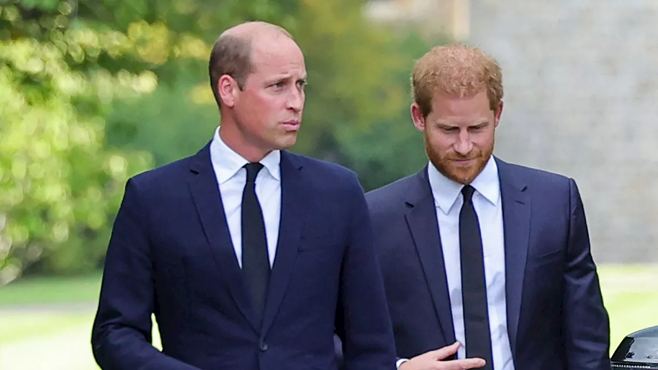 Möchte Prinz William sich wieder mit Prinz Harry vertragen?