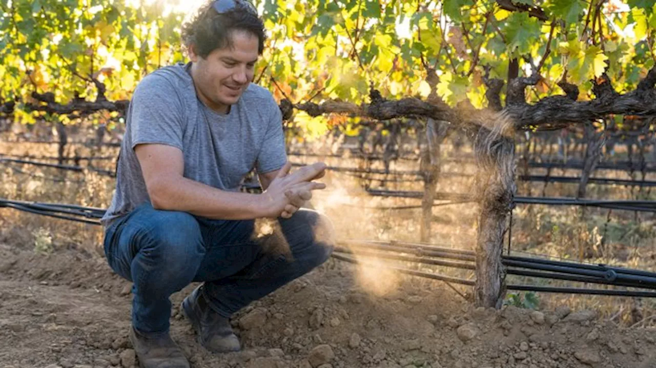 One of Napa’s Biggest Winemaking Consultants Has His Own Stellar Wine