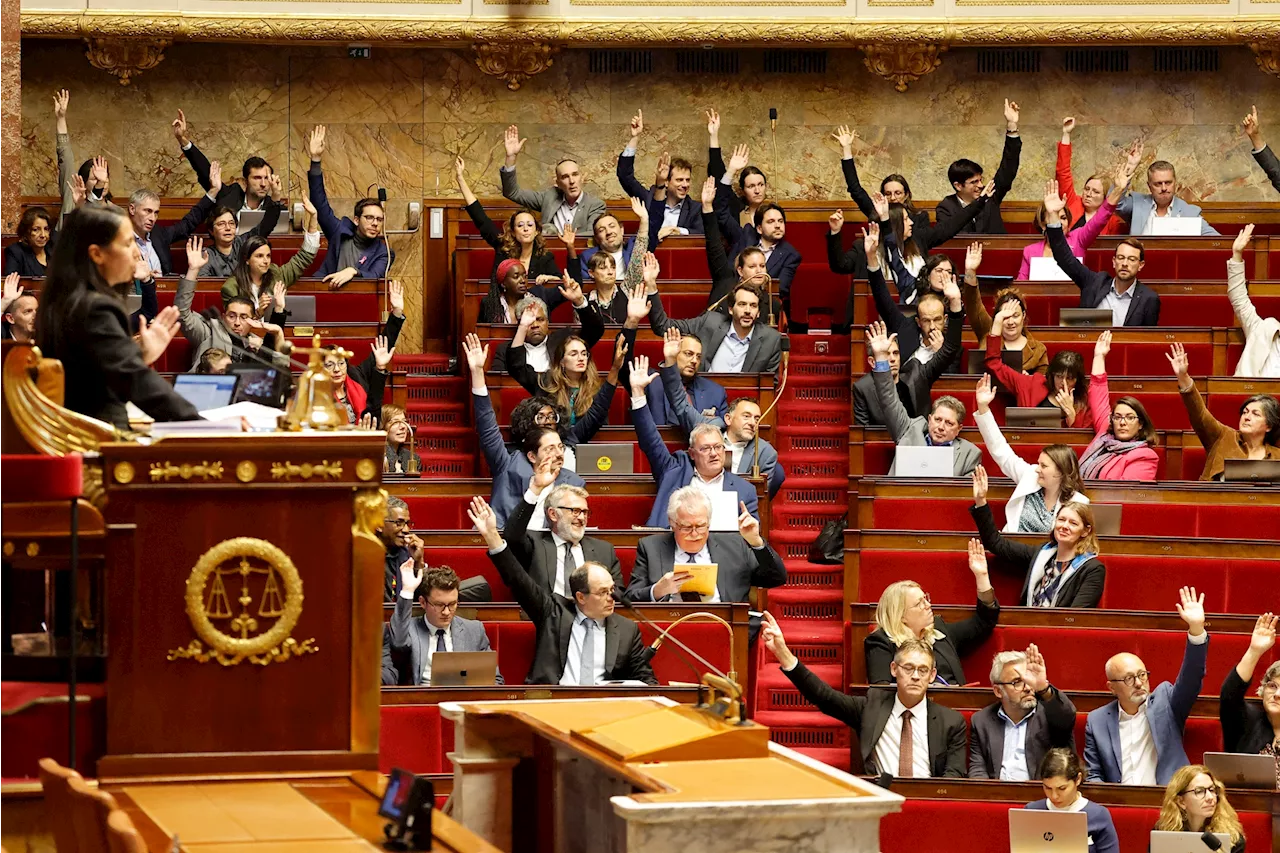 Budget 2025 : quelles sont les prochaines étapes, après la suspension des débats à l'Assemblée ?