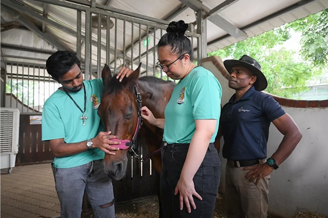 ‘Animals don’t judge you’: Caring for animals draws reclusive youth out of their homes