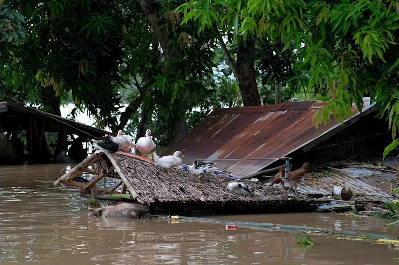 Storm Trami lands in central Vietnam posing flood risks, death toll rises in Philippines