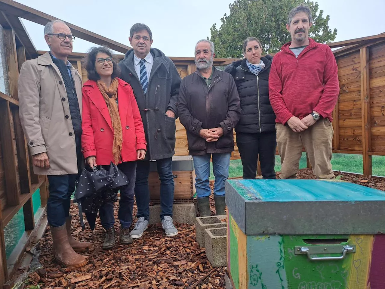 Les premiers pots de miel de Marmande sont sortis du rucher municipal