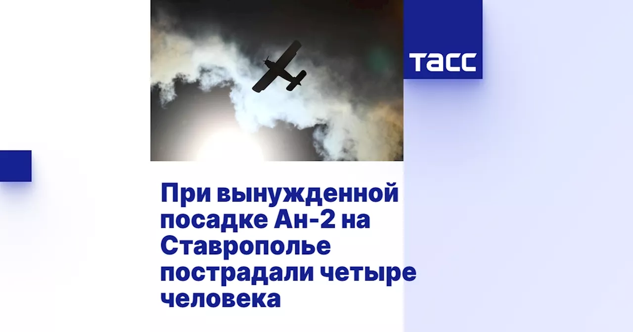 При вынужденной посадке Ан-2 на Ставрополье пострадали четыре человека