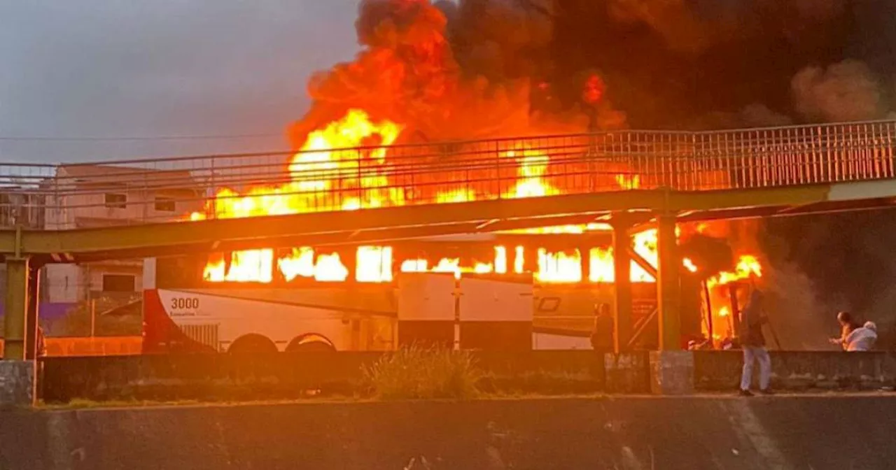 Emboscada de organizada do Palmeiras a torcedores do Cruzeiro acaba com um morto e 12 feridos