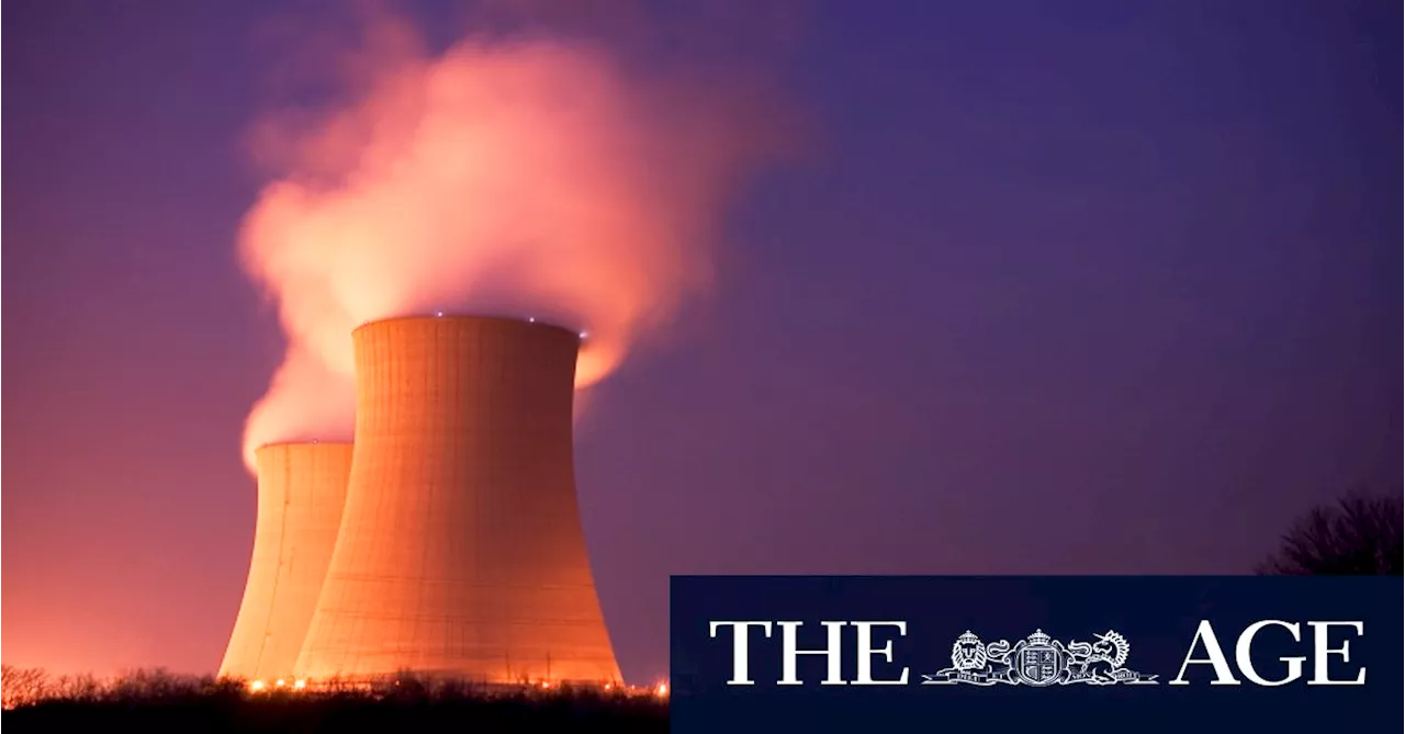 ‘Trading on hype’: Investors bet against nuclear despite big tech interest