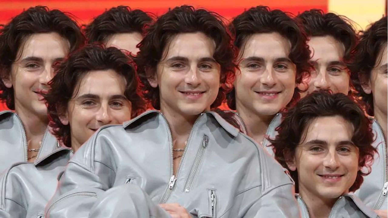 Magnanimous Timothée Chalamet attends but doesn't win his own lookalike contest