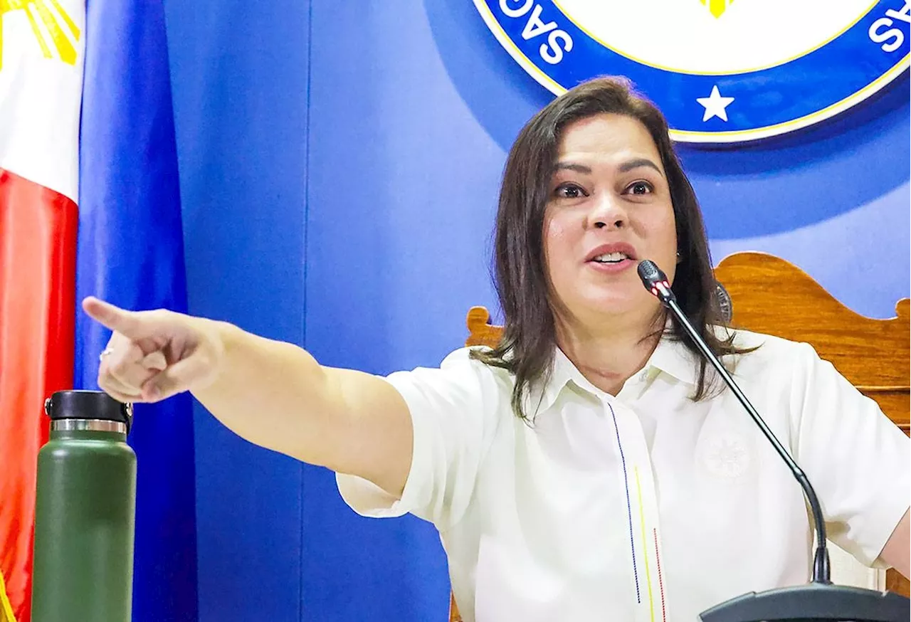 House panel eyes plunder case vs Sara