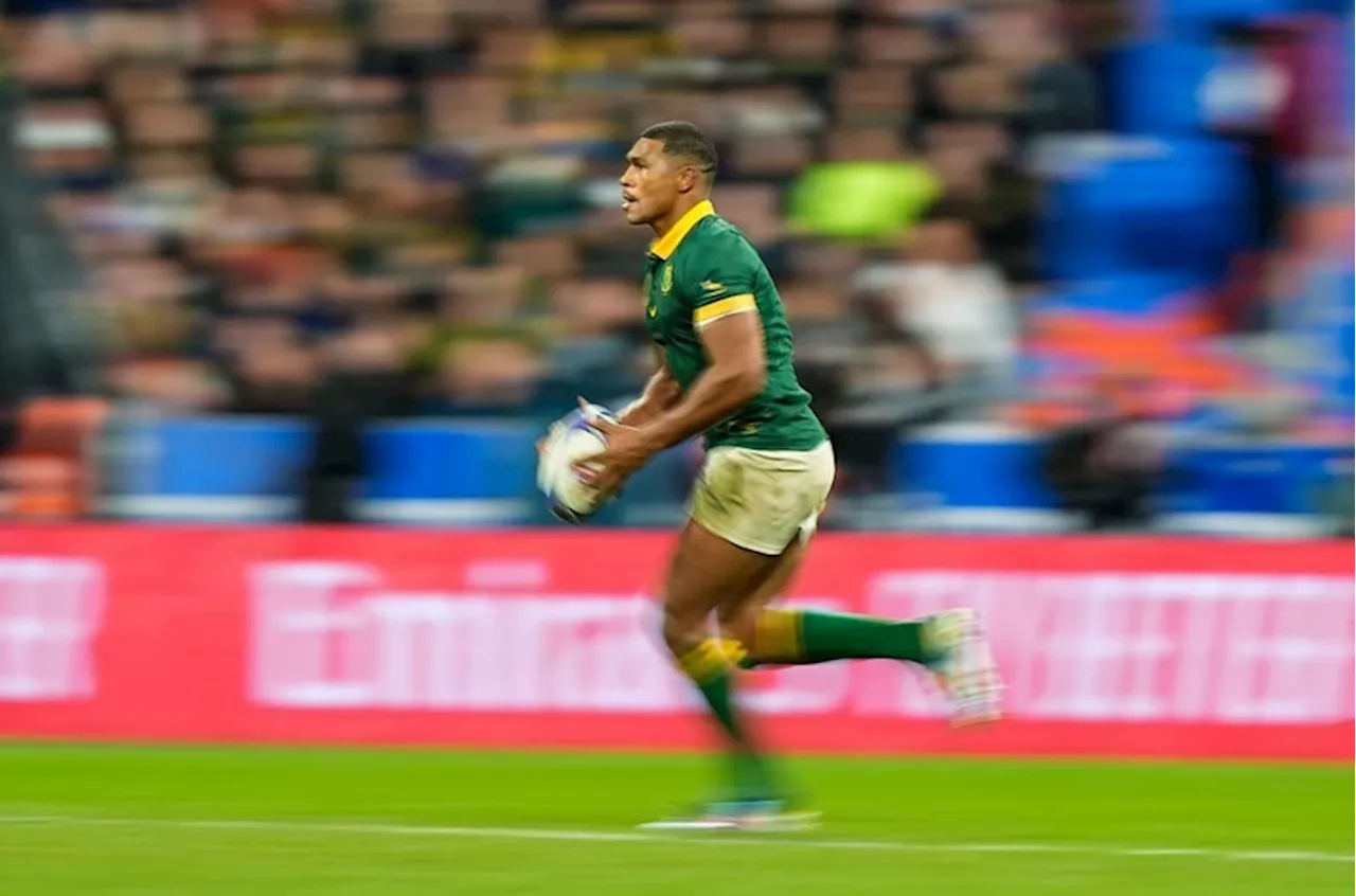 BAD NEWS: Springboks LOSE Damian Willemse for European tour