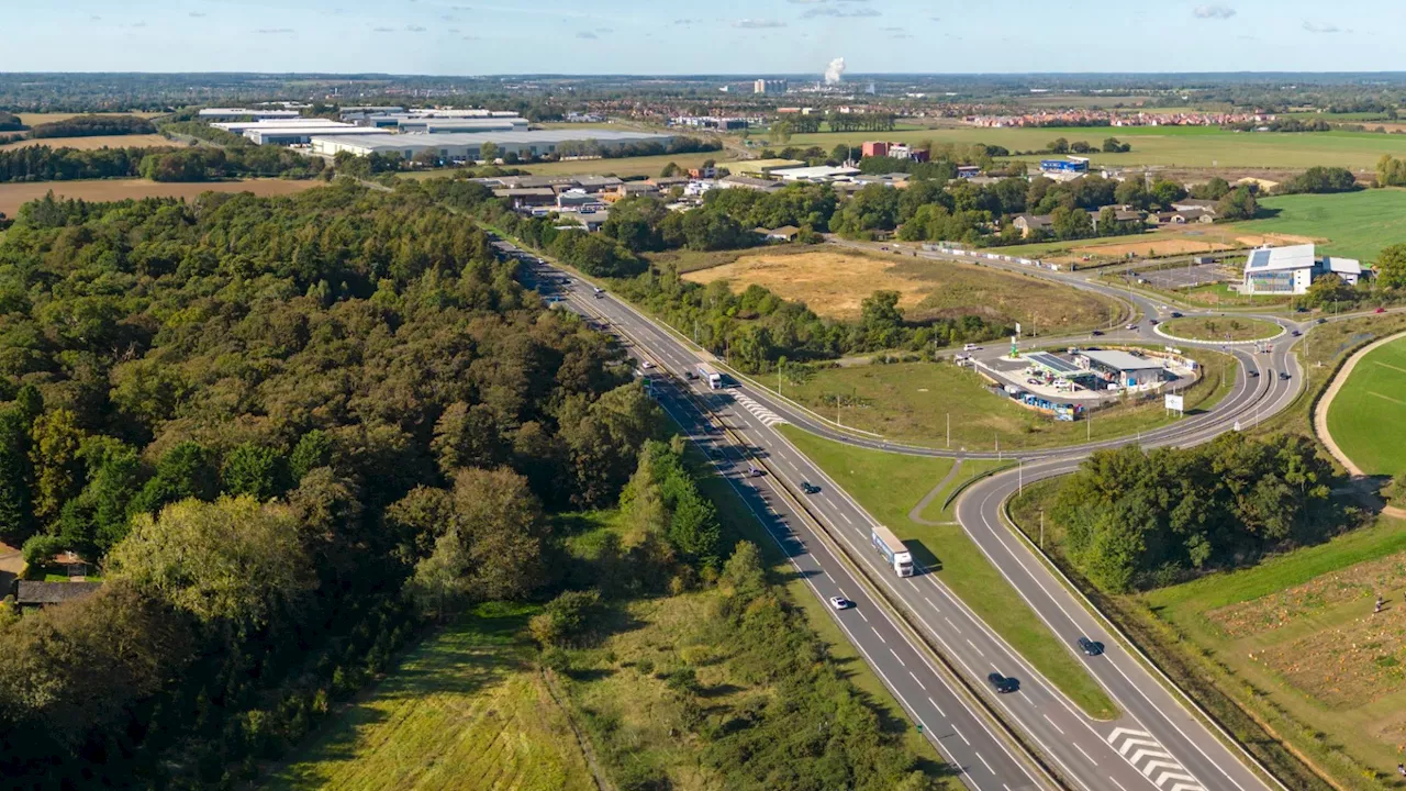 Travel chaos as major road used by thousands of drivers CLOSES sparking queues of traffic