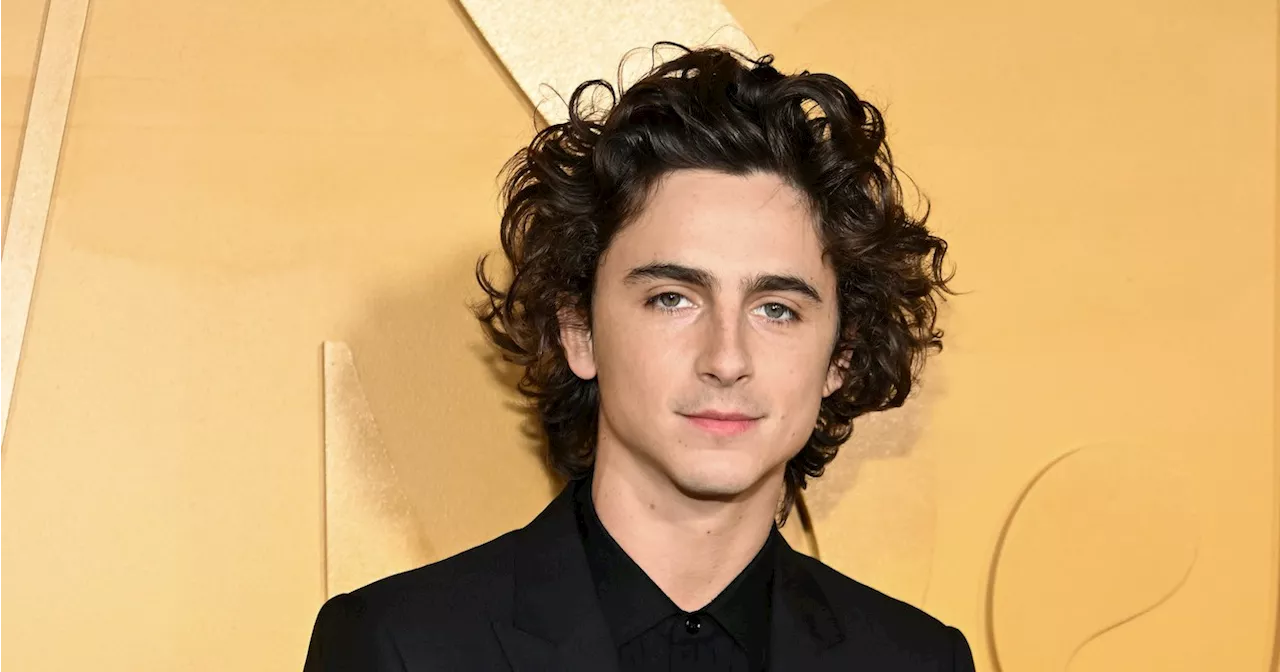 Timothee Chalamet Crashed His Lookalike Contest in NYC