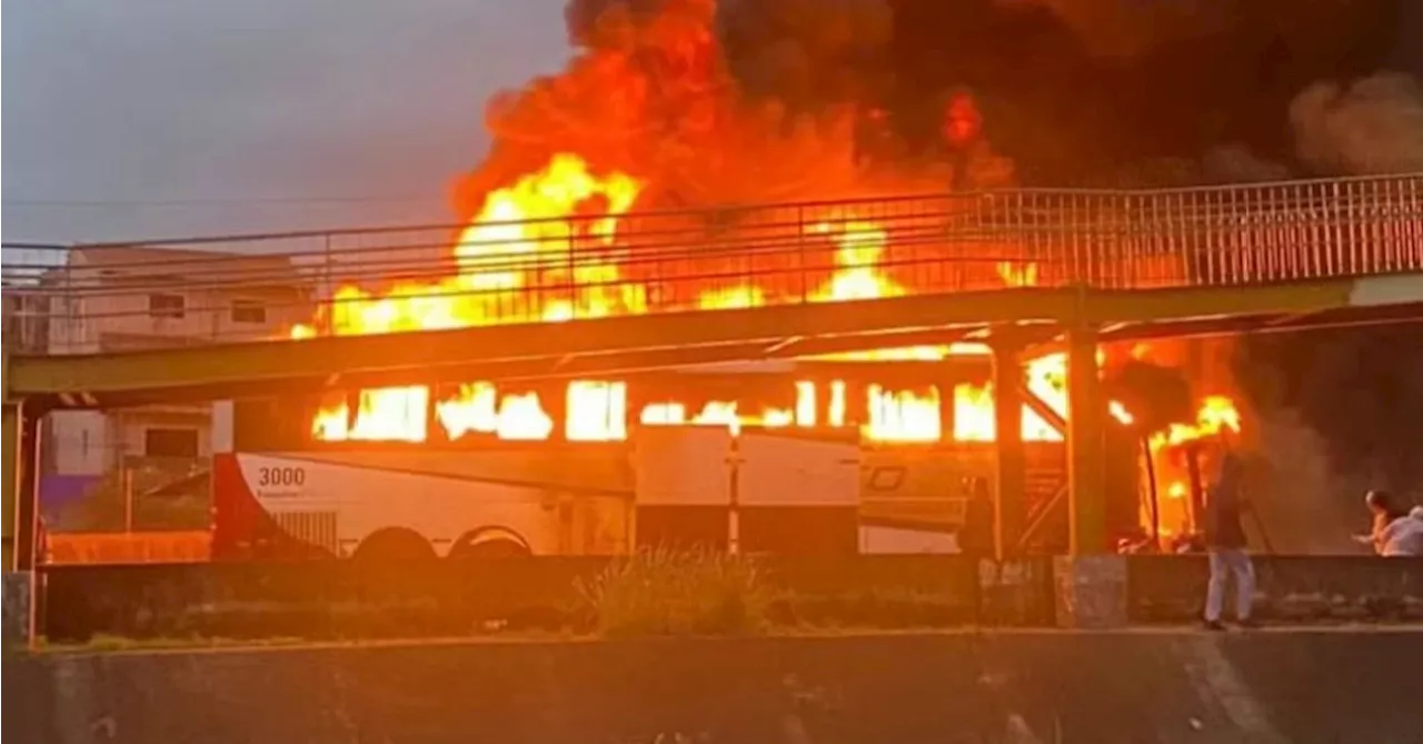 Briga de torcidas organizadas do Palmeiras e Cruzeiro deixa 1 morto e 20 feridos