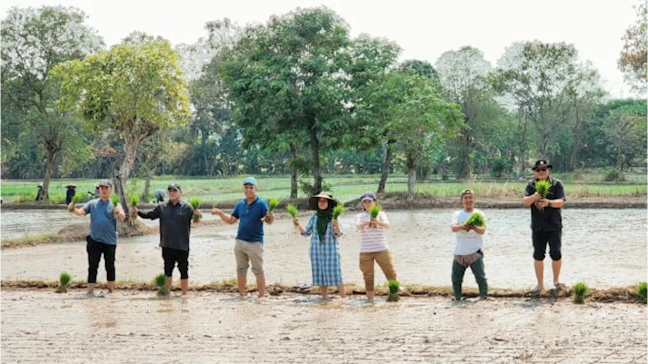 Menuju Swasembada Pangan: Penanaman Bersama Petani di Banten