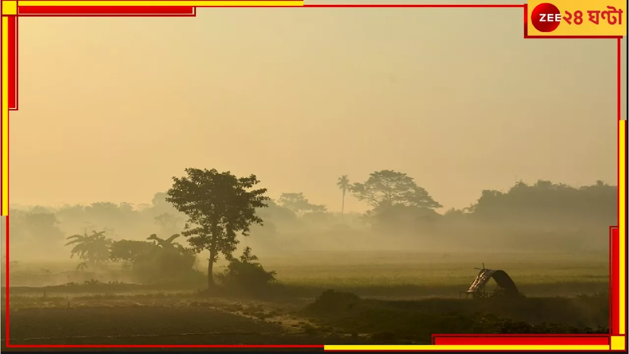 Bengal Weather Update: এবার শুরু শুষ্ক আবহাওয়ার দিন! জেনে নিন পাকাপাকি ভাবে কবে থেকে পড়ছে শীত...