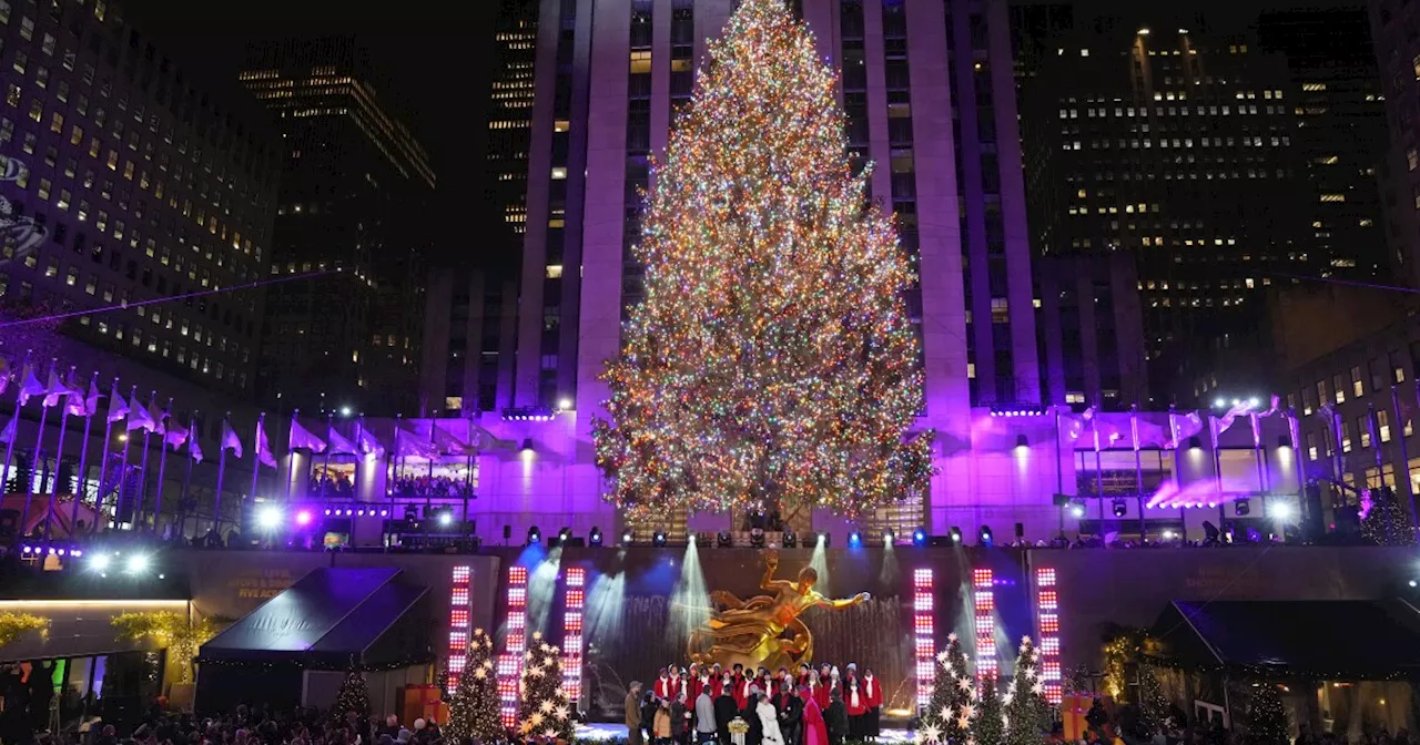 The Rockefeller Center is preparing to cut this year's giant Christmas tree