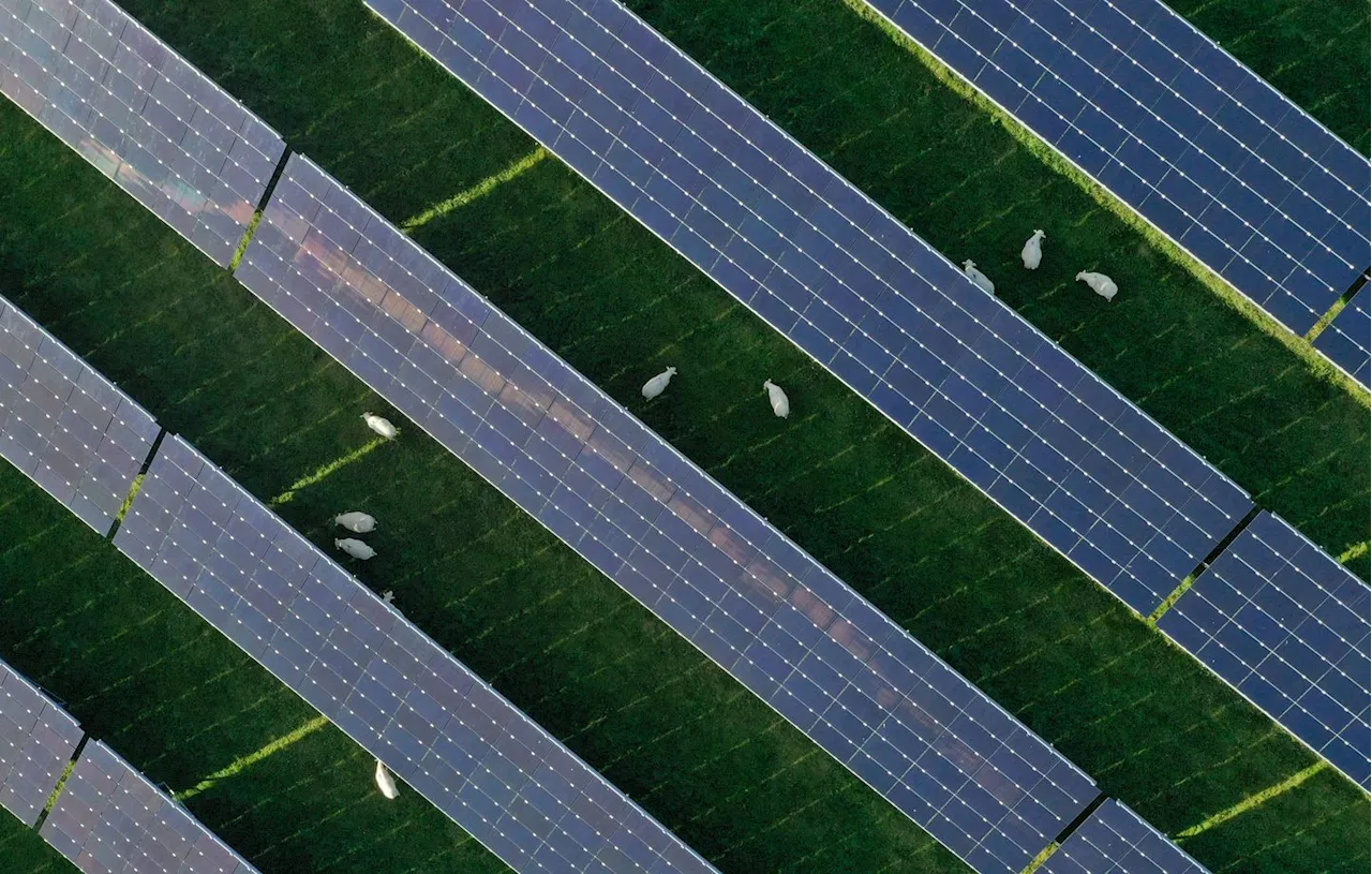 Ariège : Le projet de champ photovoltaïque d’Artix va compter plus de 18.00 panneaux