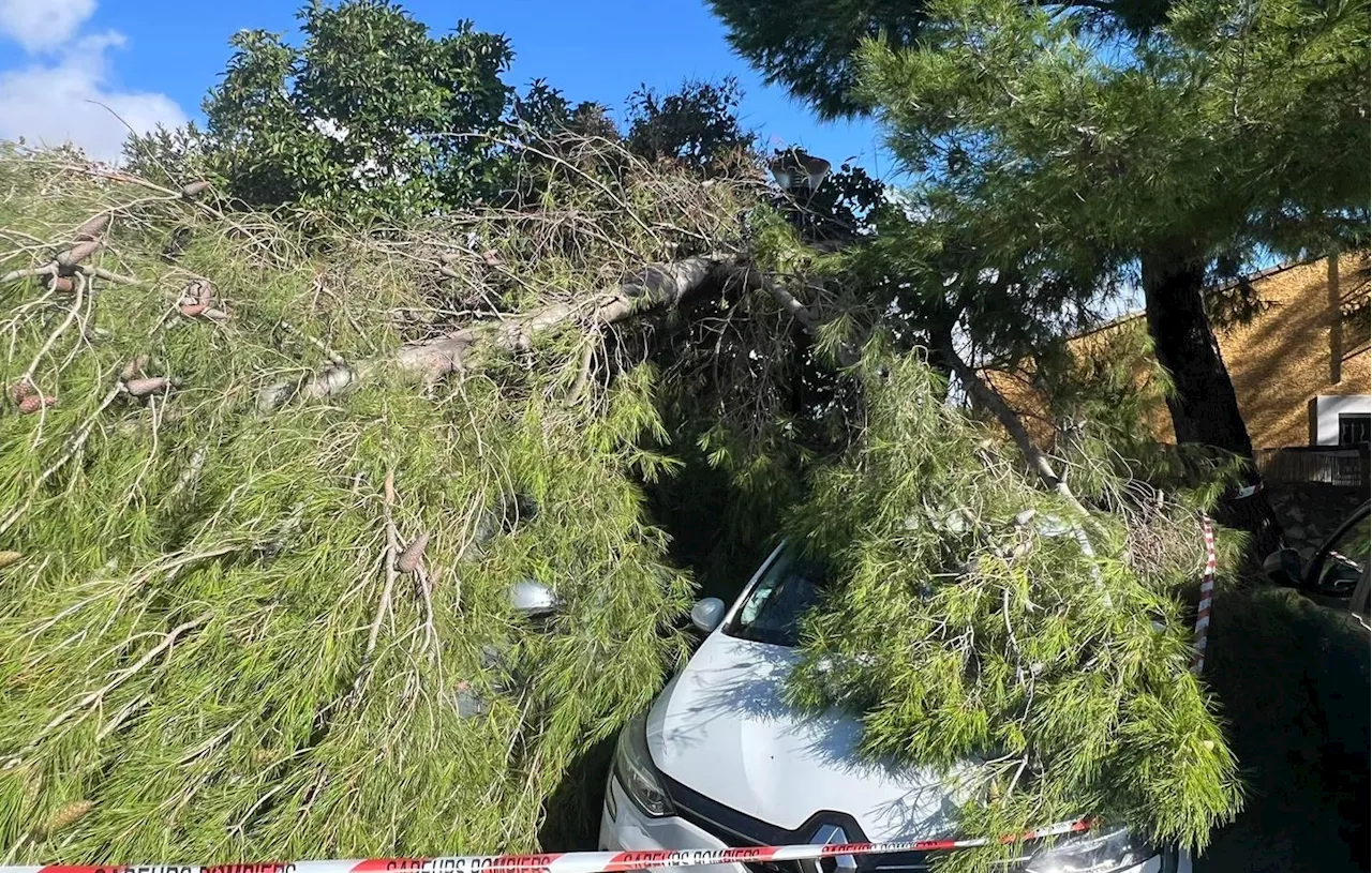 Hérault : Nombreux dégâts après le passage d’une tornade à Frontignan