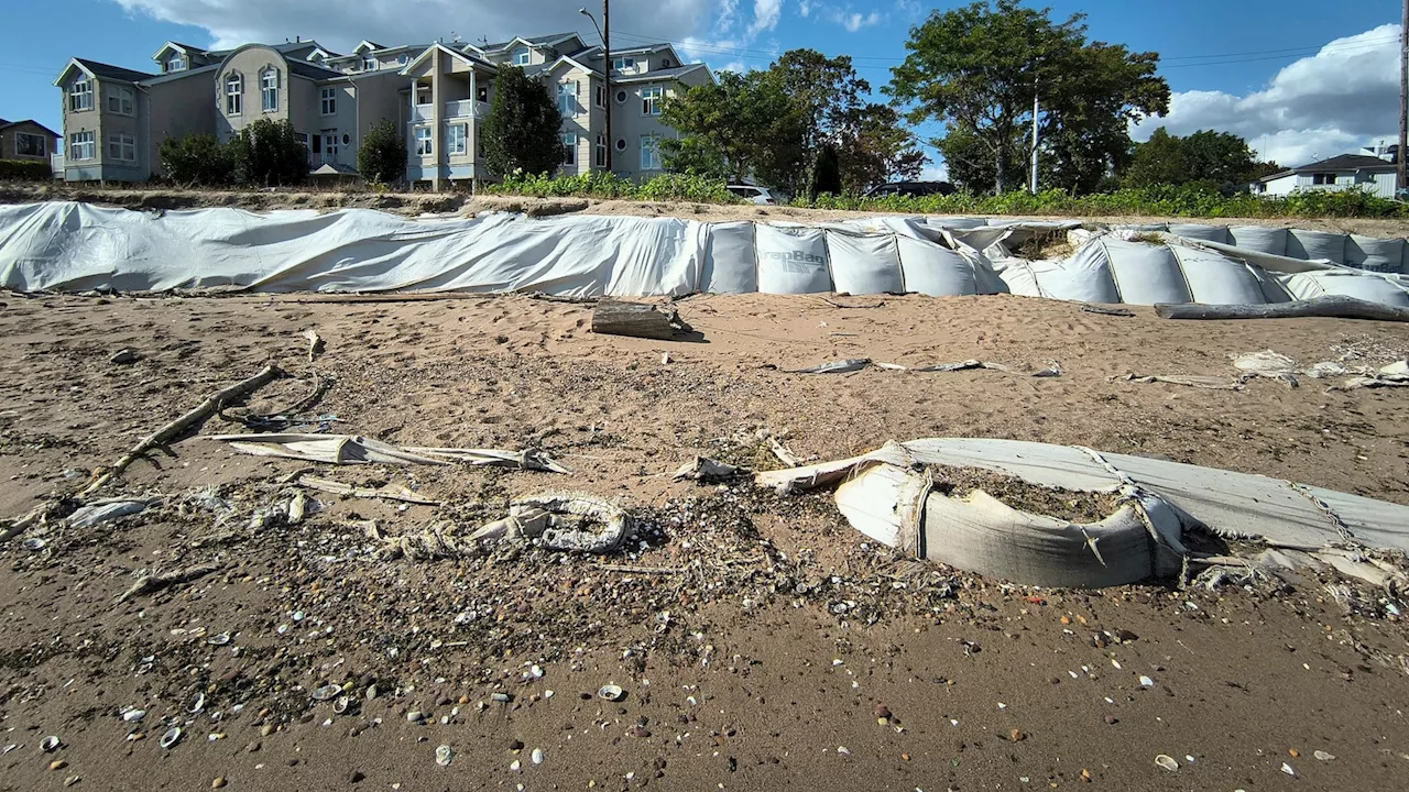 These artificial reefs off a New York City beach help sea creatures. They might also save lives