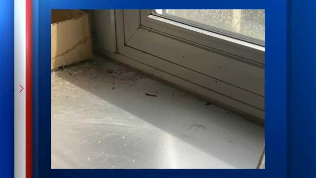 Students, teachers displaced after mold shuts down elementary school in Union, NJ