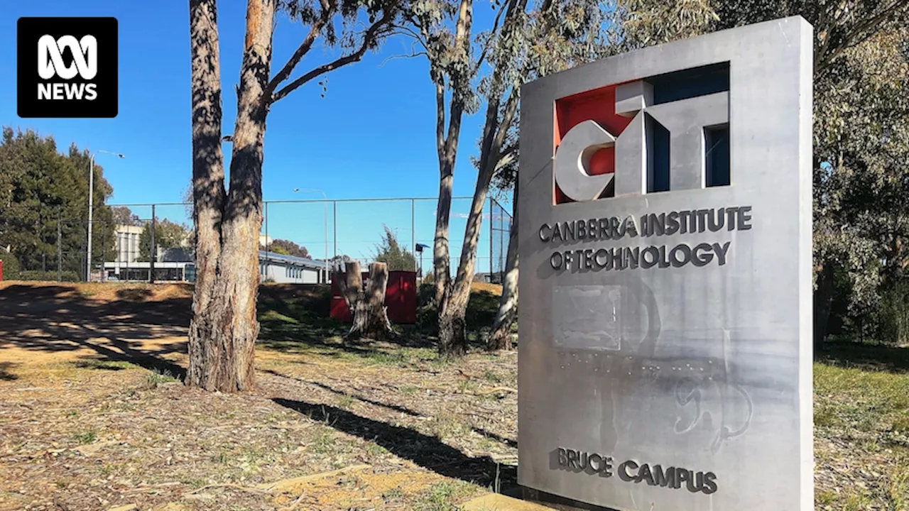 Consultancy company Think Garden suing Canberra Institute of Technology over cancelled $5 million contract