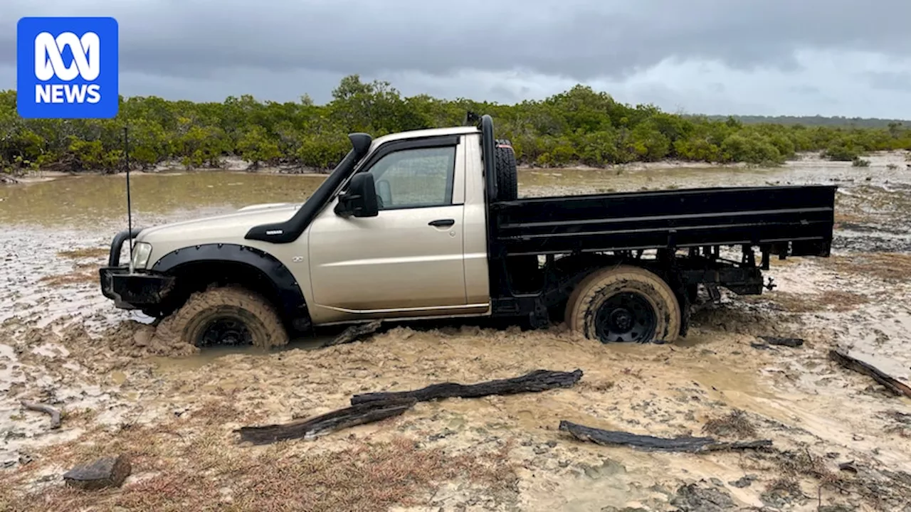 Drivers damaging sensitive and vital saltmarsh ecosystems at Agnes Water