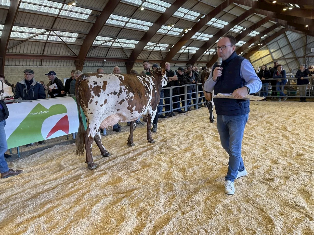 Foire Saint-Martin de Saint-Hilaire : les concours d'animaux auront lieu sous contrôle sanitaire