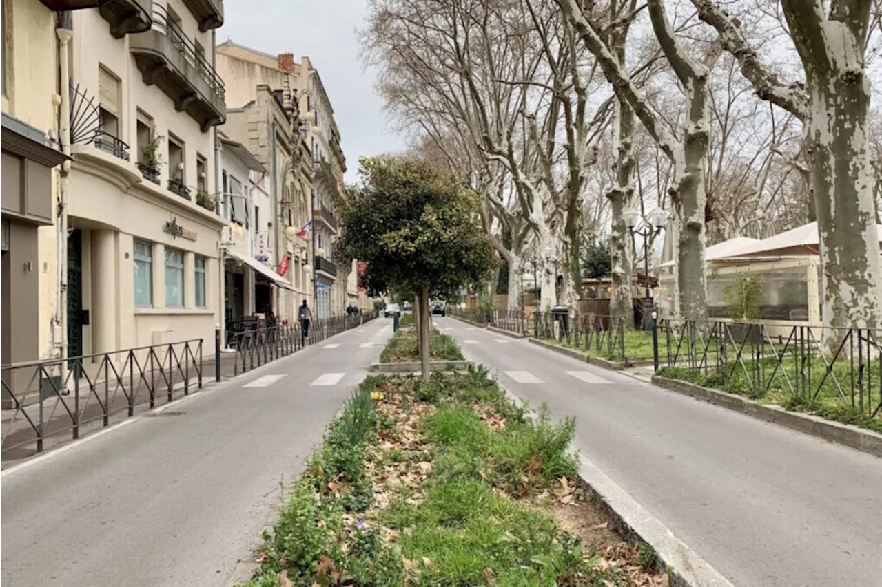 Montpellier : pourquoi le boulevard Sarrail ferme définitivement à la circulation ?