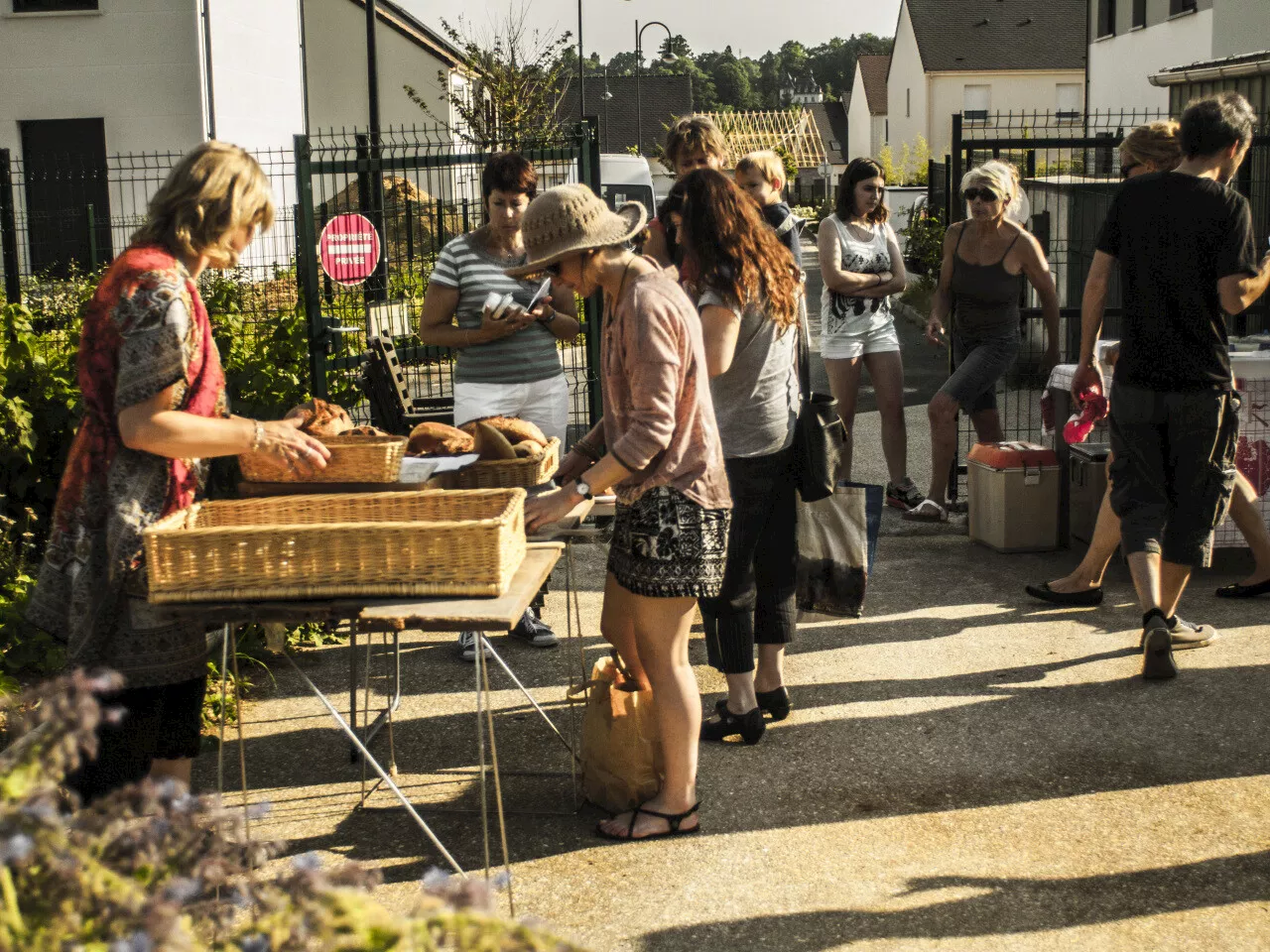 Seine-et-Marne : l'Amap de Chartrettes, un engagement local pour une agriculture durable