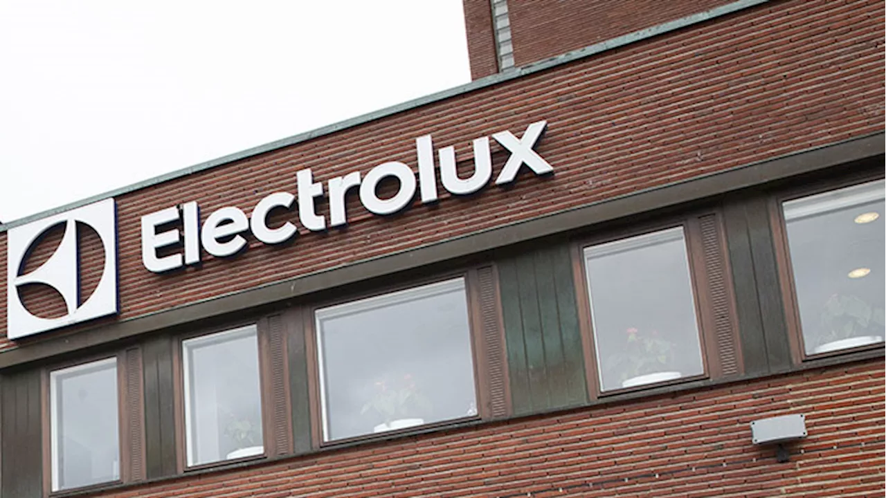 SHB sänker Electrolux till behåll efter Q3-rapport