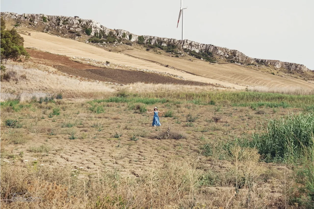 L'Ue verso la nuova rete di dati sulla sostenibilità agricola