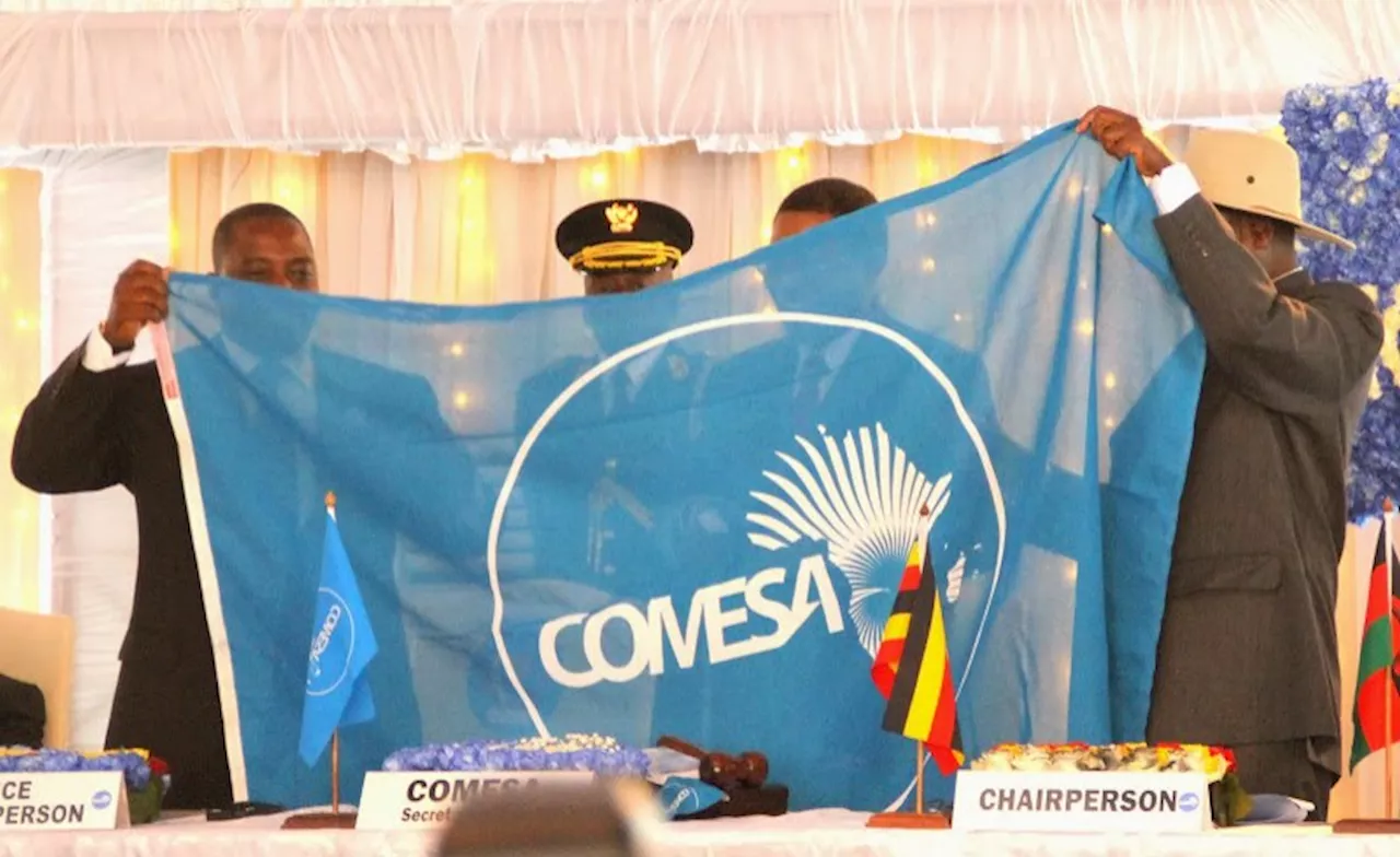 Leaders Urged To Address Regional Crises At COMESA Summit