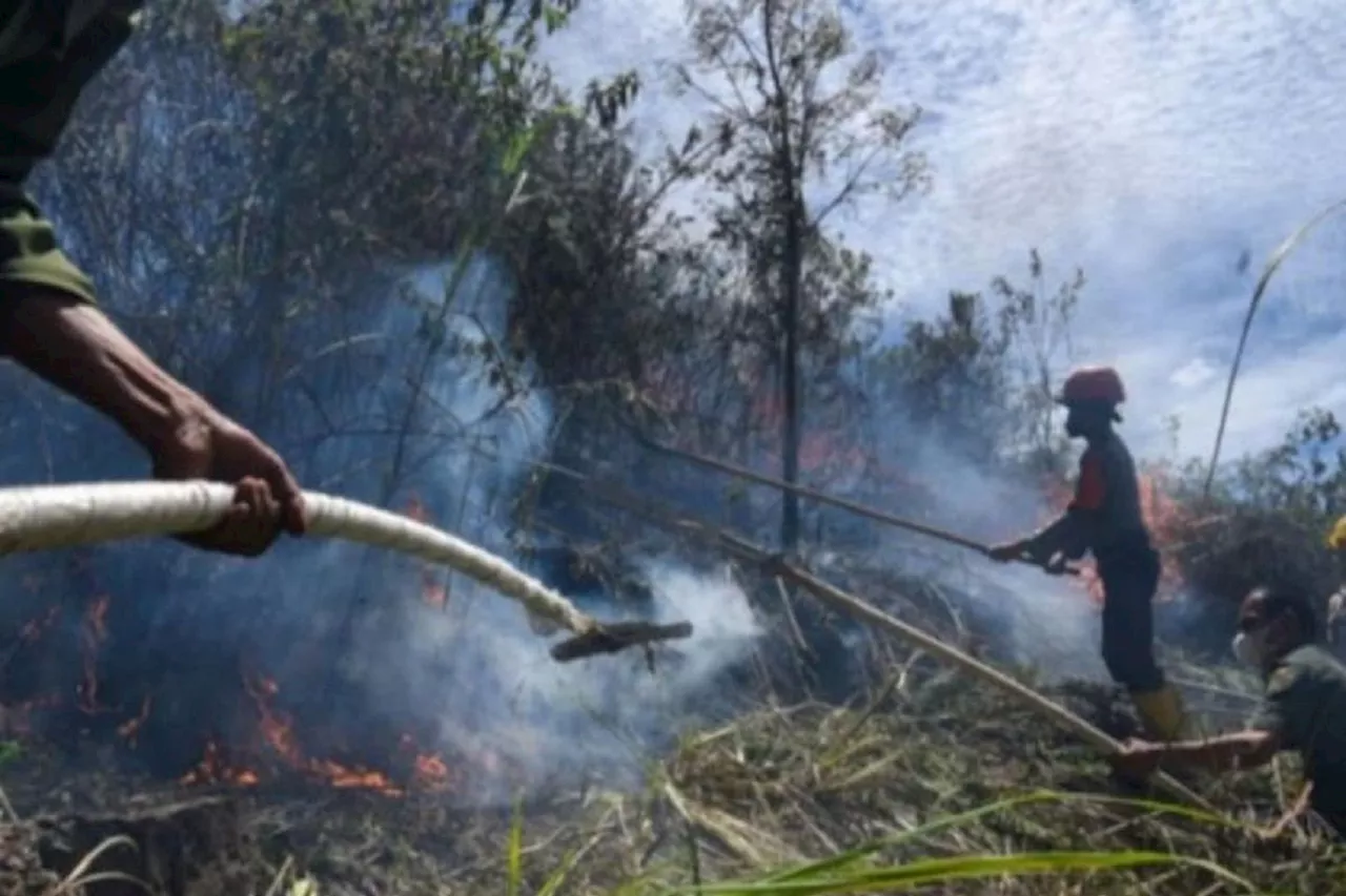 BBMKG: Terpantau 28 titik panas di Sumatera Utara