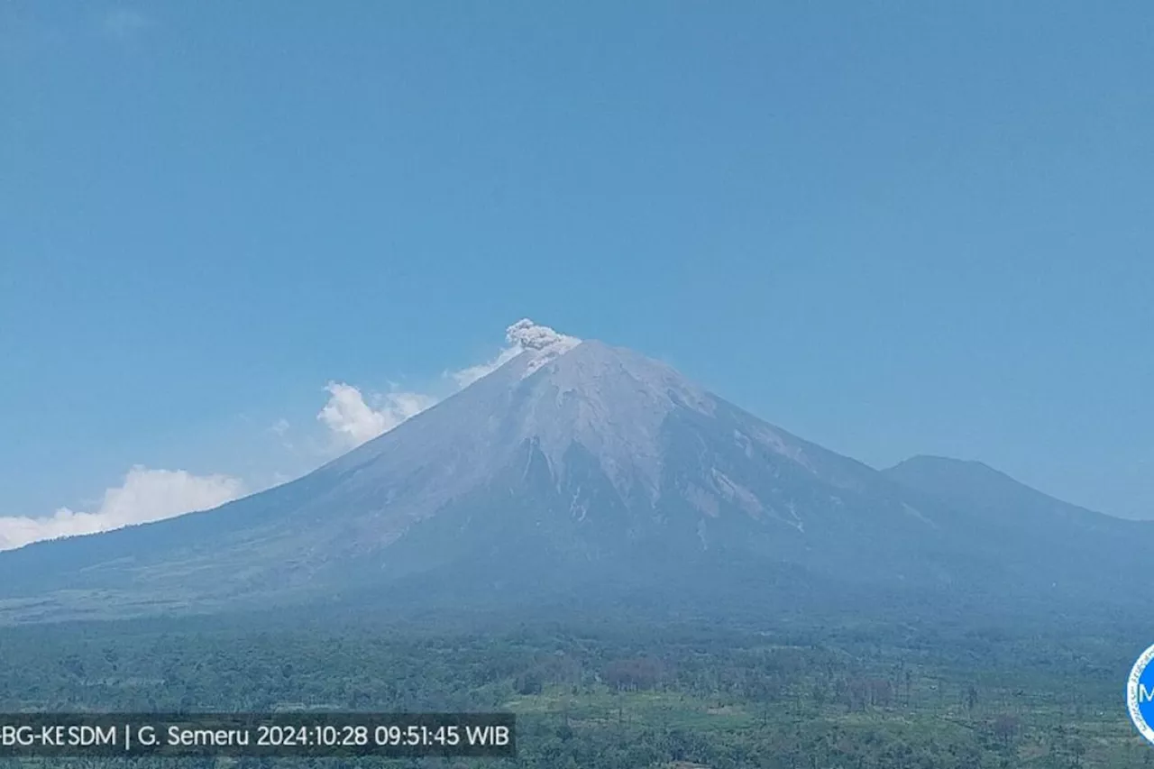 Gunung Semeru erupsi lagi dengan letusan hingga 800 meter