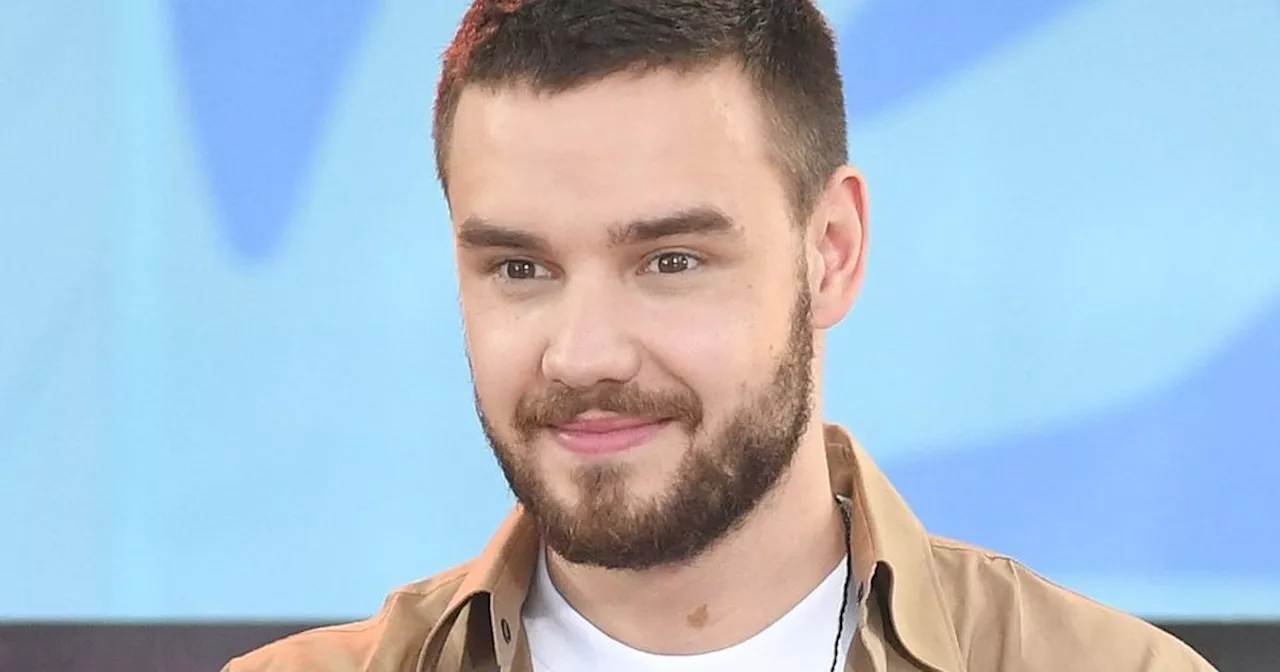 Nach Liam Paynes Tod legt Netflix geplante Show auf Eis