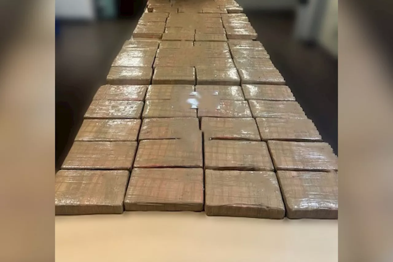 Police intercept 73 kilograms of cocaine on B.C. highway