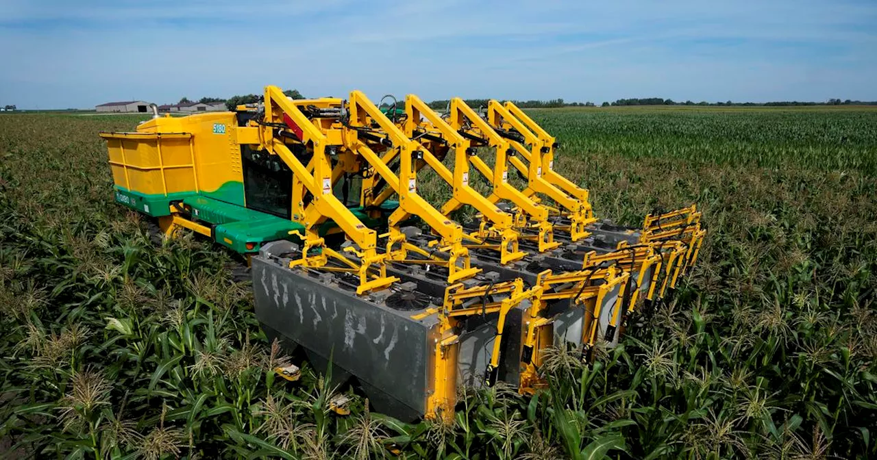 Automation in agriculture offers solutions for farmers, but workers fear for their jobs