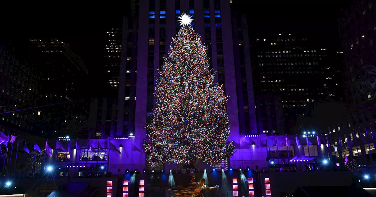 Rockefeller Center Christmas tree to be cut from Massachusetts for 2024 lighting