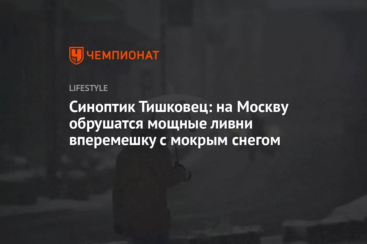 Синоптик Тишковец: на Москву обрушатся мощные ливни вперемешку с мокрым снегом