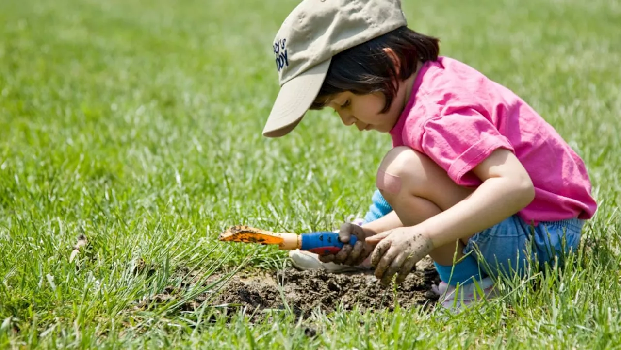 Commentary: Playing in mud and dirt can boost your child’s immune system