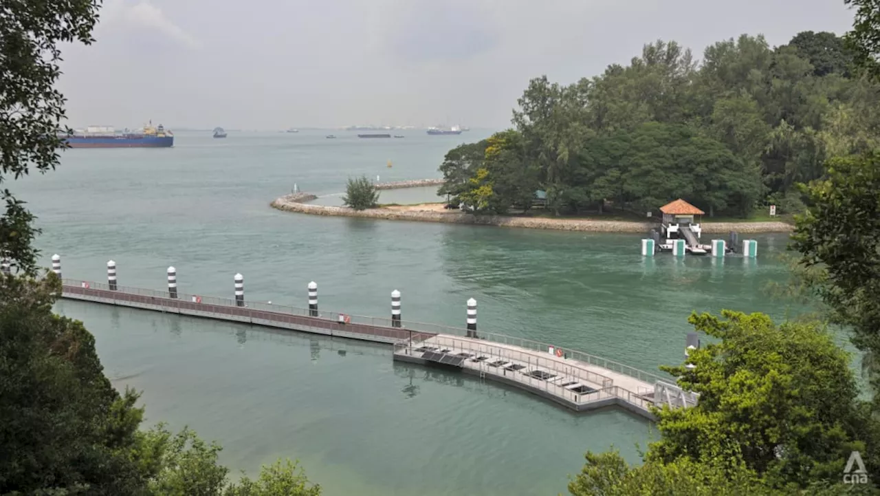 Revamped Big Sister's Island reopens after 3 years, with floating boardwalk and tidal pools